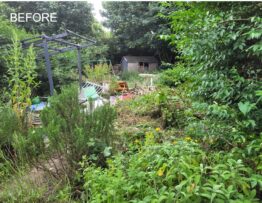 garden clearance