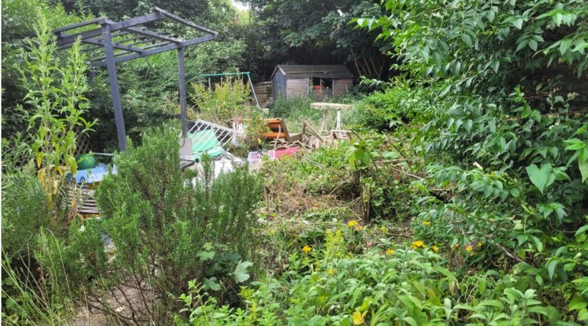 garden clearance